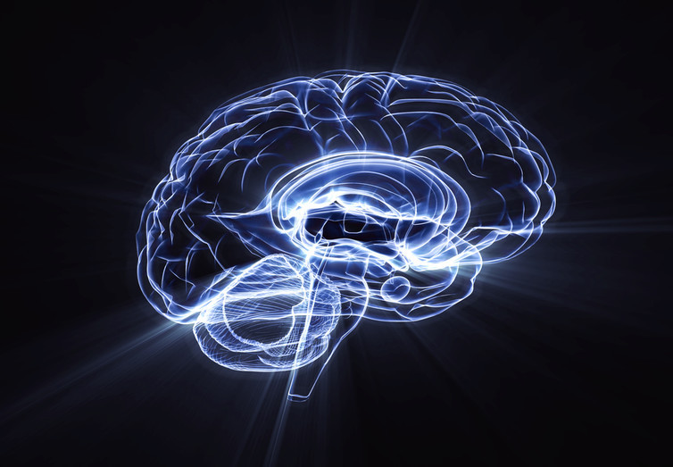 Brain illustration via Jezper/Shutterstock